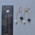 Load image into Gallery viewer, Redwood Balancing Act Earrings
